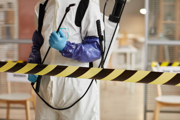 Professional Sewage Cleanup technician working in Manteca, CA